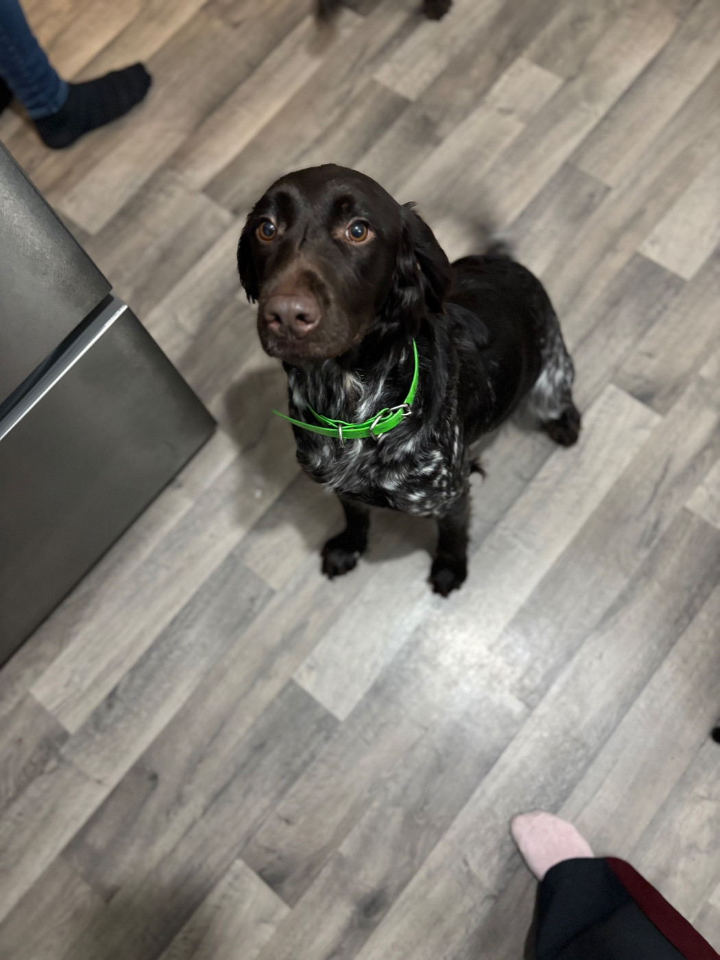 Venus du clos de l'épte